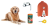 Kit per cani e gatti a corrente elettrica 230V